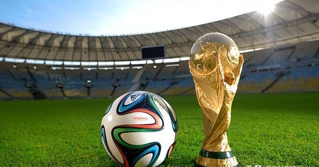 脆弱性与消 脆弱性与消